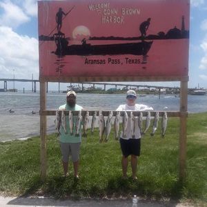 Meet your Posher, Fred